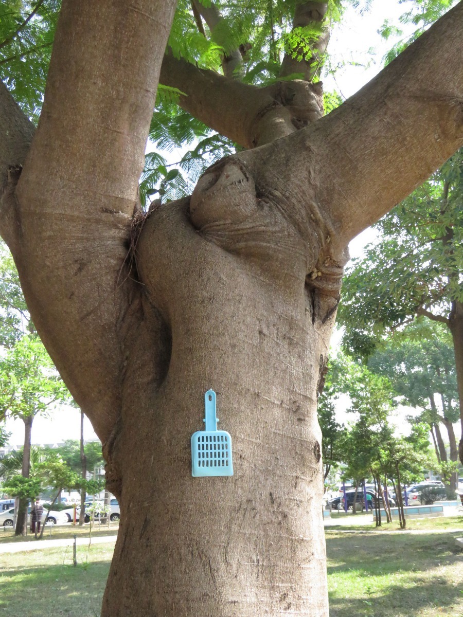 里長在公園的樹幹上掛愛心鏟，提供飼主清狗便。高維奇/攝