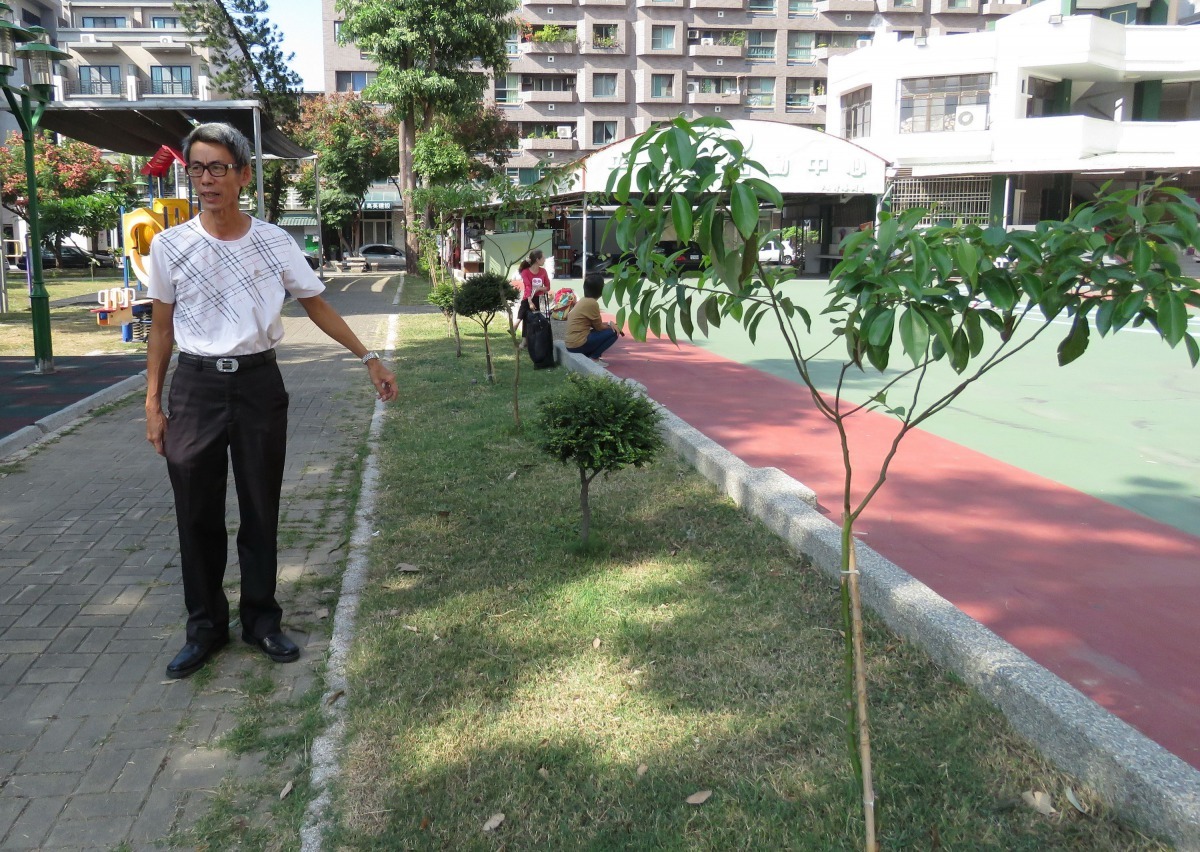 李世明指出這排樹木都使用狗屎施肥。高維奇/攝