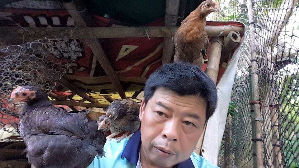 袁快田愛雞成痴，雞都爬到他頭上了。 圖／袁快田提供