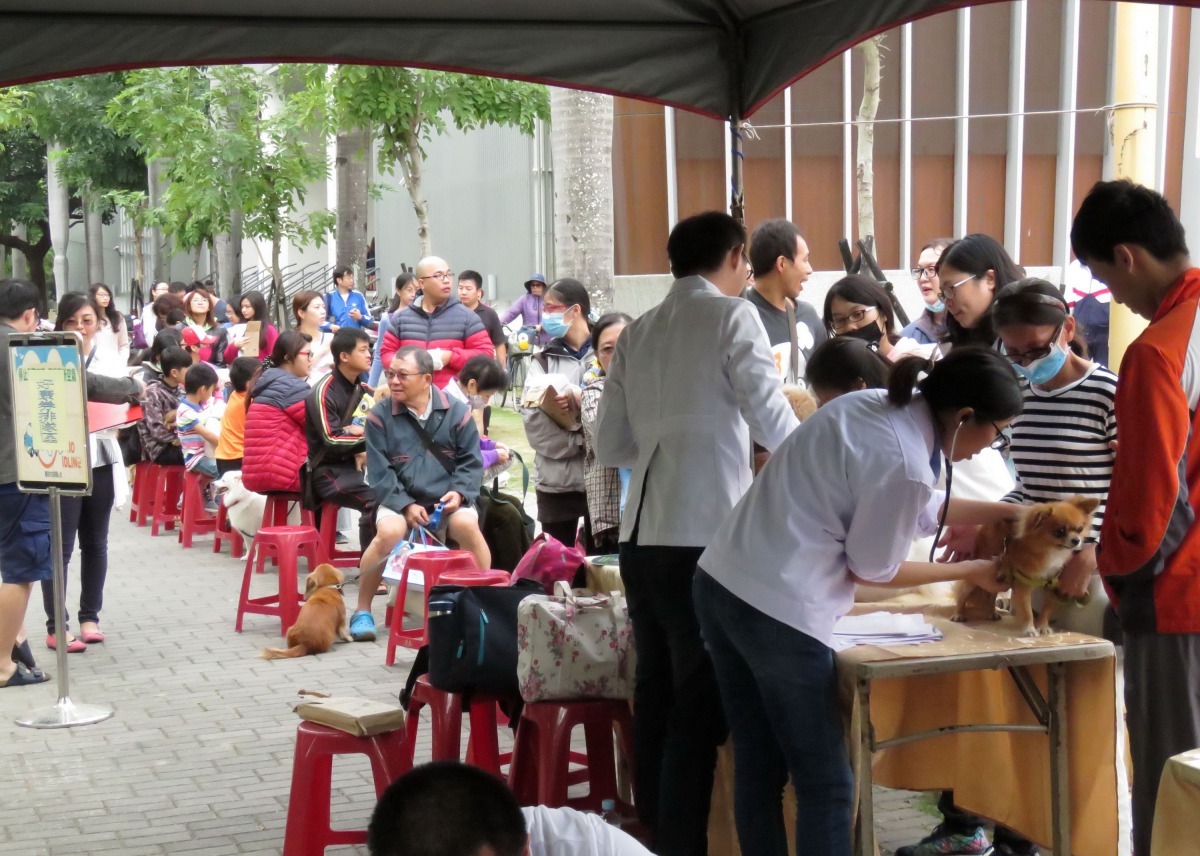 等著義診的飼主非常踴躍。高維奇/攝