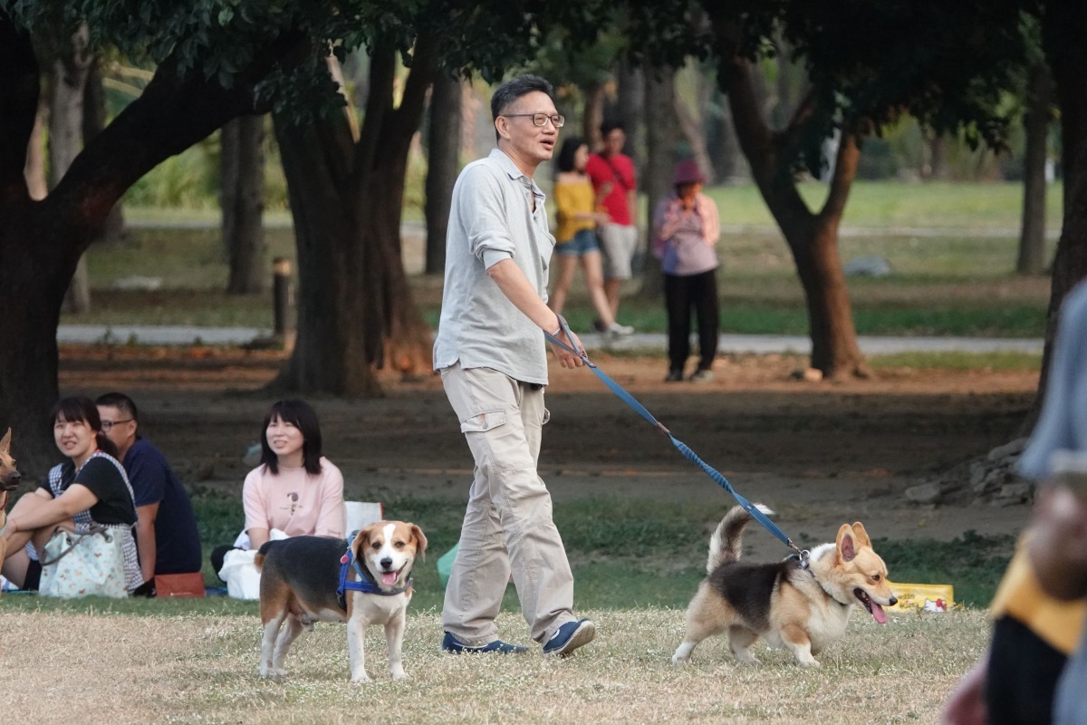 公園大草坪遛狗的民眾。高維奇／攝