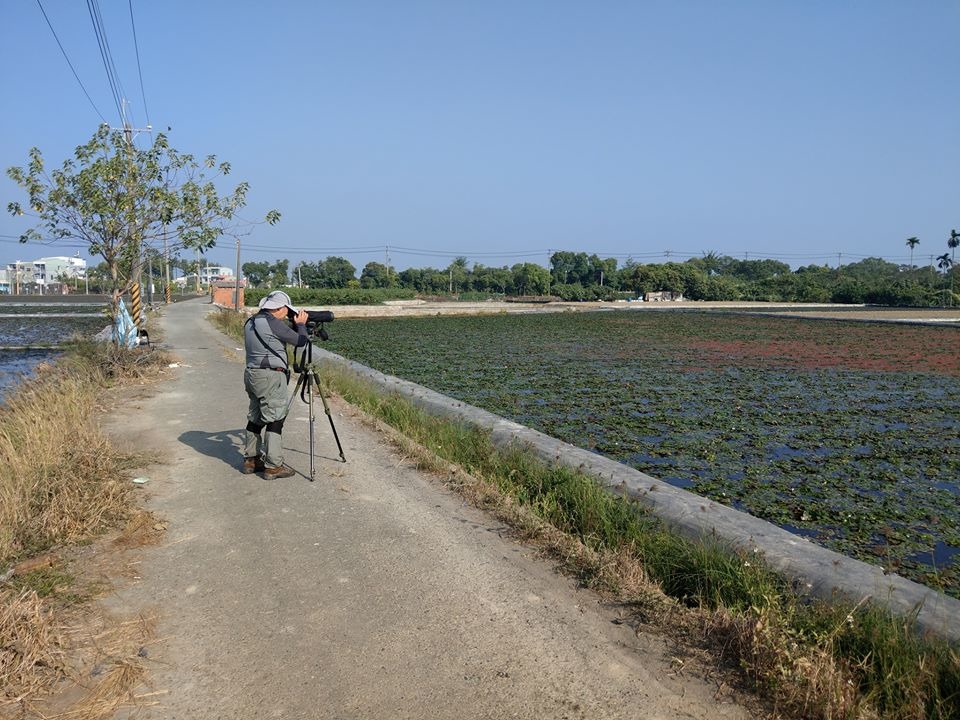 台南市野鳥學會剛完成水雉調查的艱鉅數鳥任務。圖/台南市野鳥學會提供