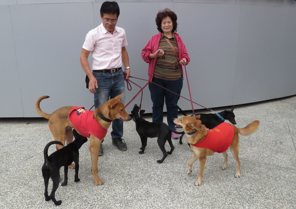 有錢家族六小福新成員與黃連發夫婦。高維奇/攝