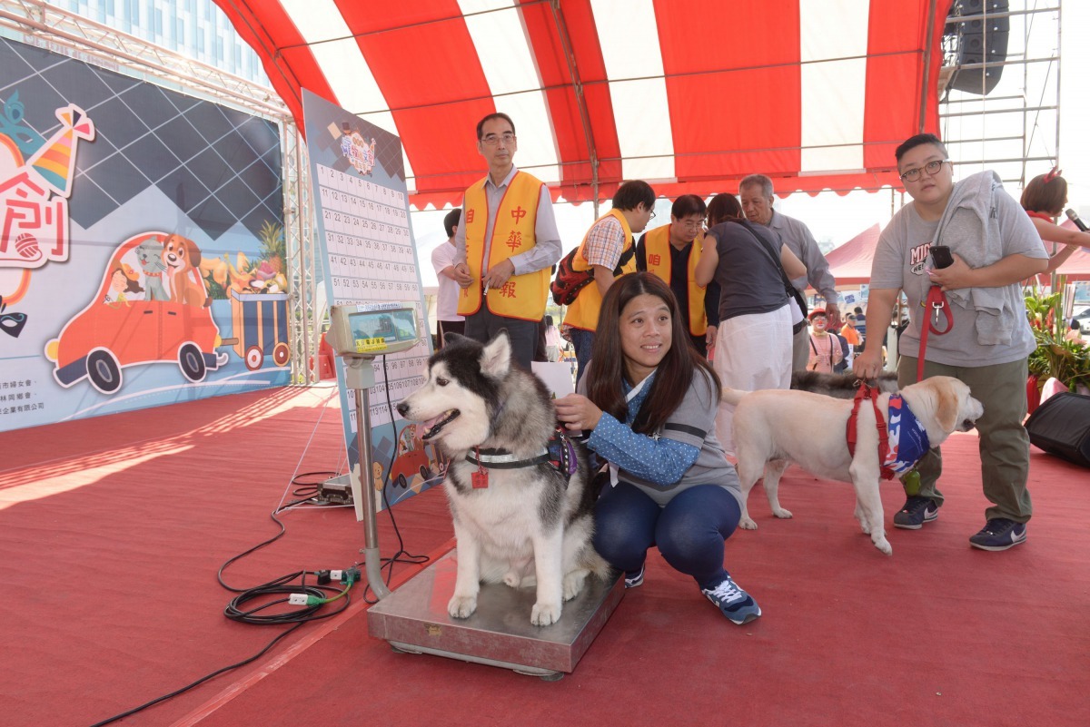 大台南寵物嘉年華暨歲末寒冬送暖活動，延續去年的「毛寶貝團」聚飼料募集做公益。高維奇/攝
