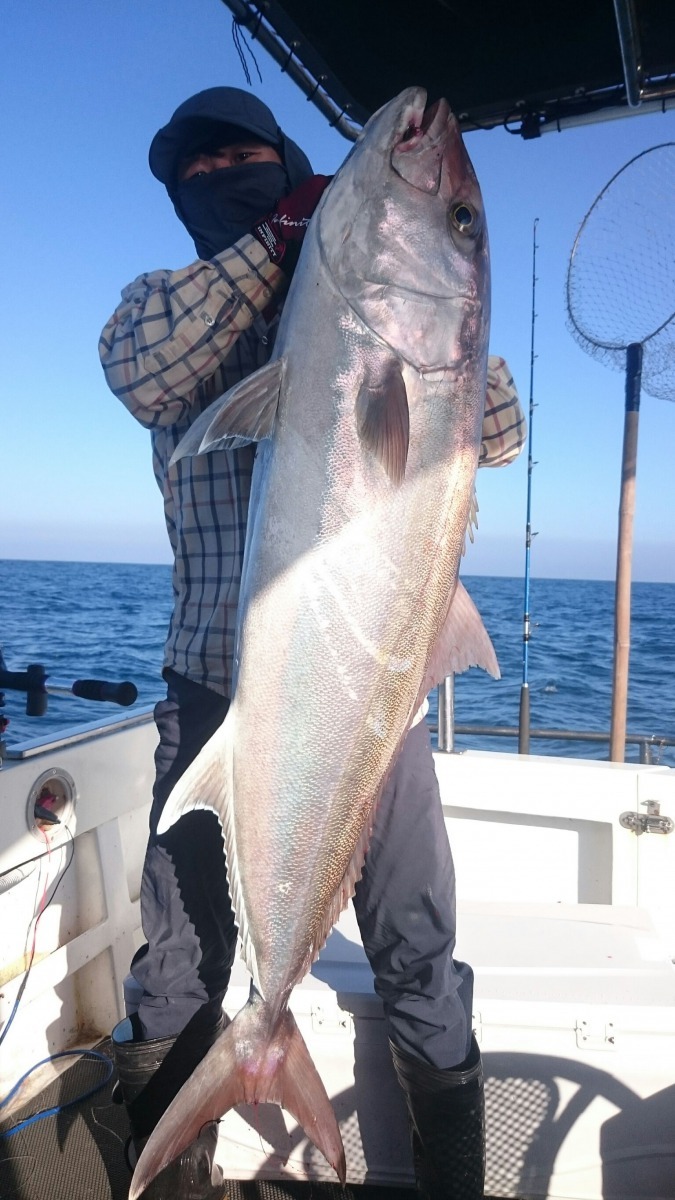 釣友費盡力氣才把這尾大紅魽拉上船。 圖/林性儀提供