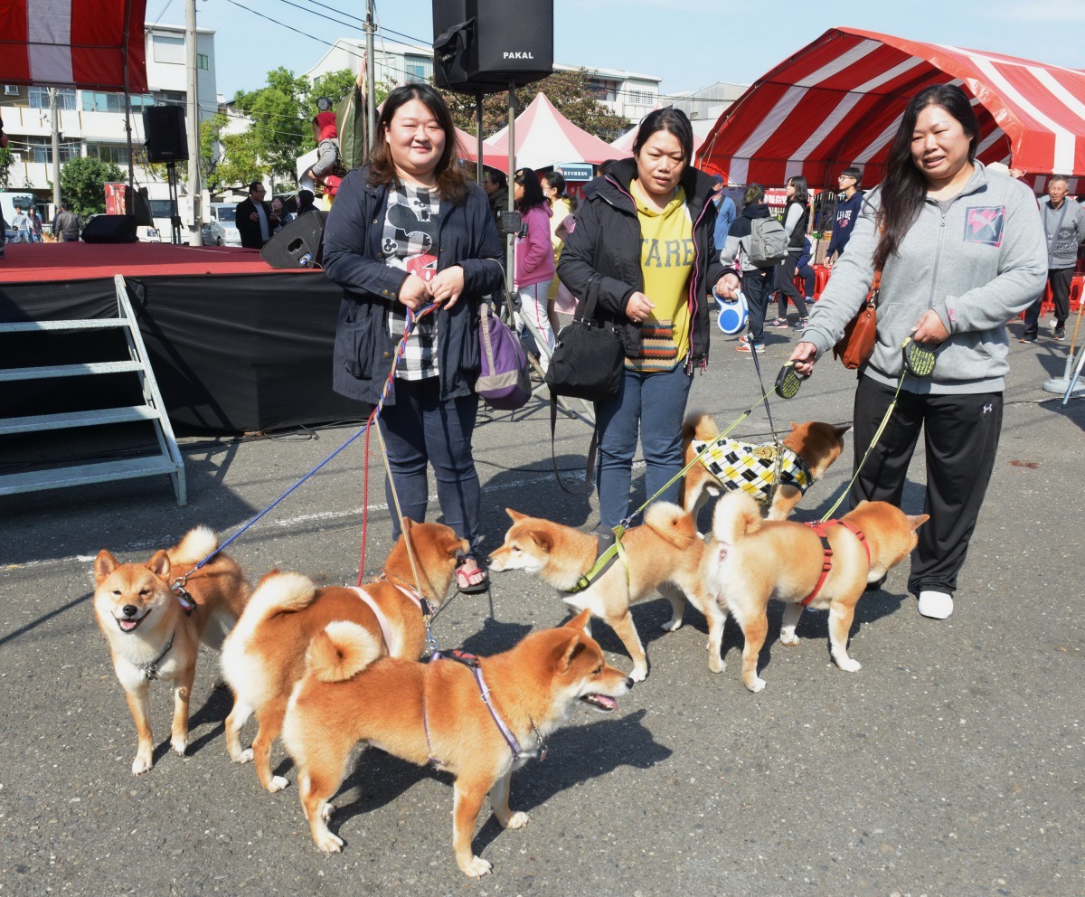 活動現場陽光普照人潮湧現。高維奇/攝