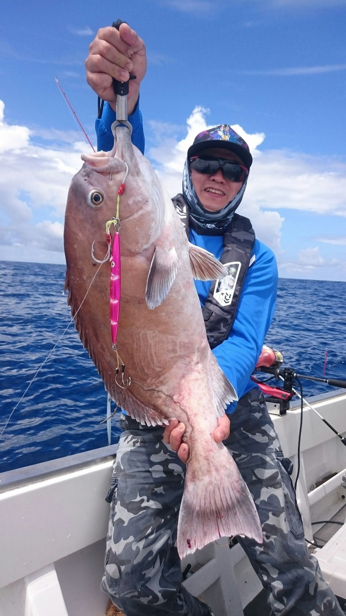 釣友釣獲的鳩鱠。