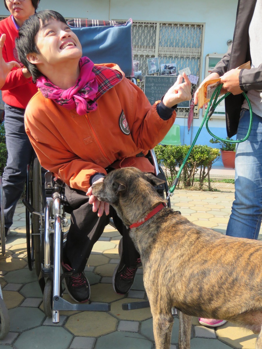 智青以寵物零食和狗狗互動，非常興奮。 高維奇/攝