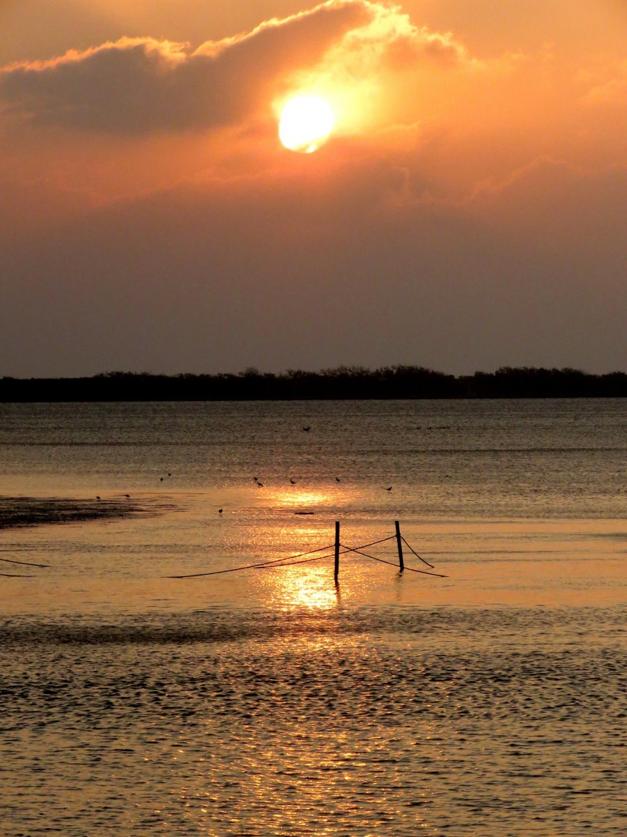 優美的景色從古到今給無數藝術家提供文學和美學靈感。高維奇/攝