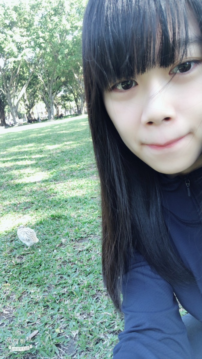 王貴美養鵪鶉緣於小時候快樂的回憶。圖/王貴美提供