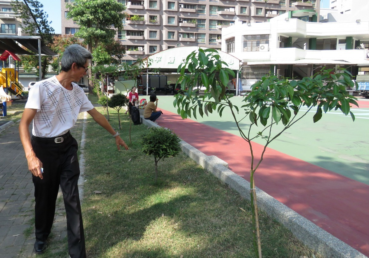 社區公園將收集的狗大便部分埋入土中施肥，讓樹苗健康成長。高維奇/攝