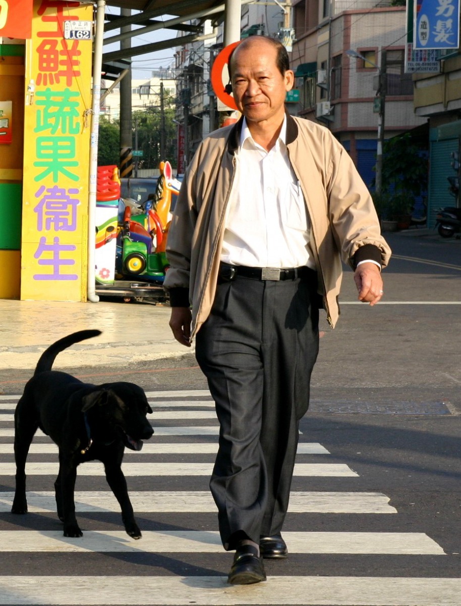 楊明風收養得過犬瘟熱又發生車禍被撞的「阿仔」迄今已12年。高維奇／攝