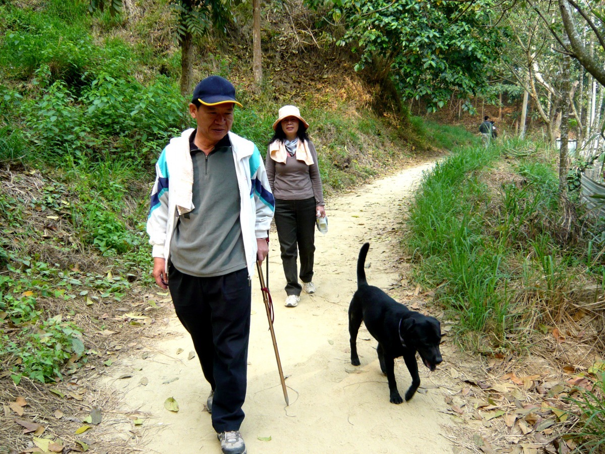 阿仔陪伴楊明風家人爬山散步。高維奇／攝