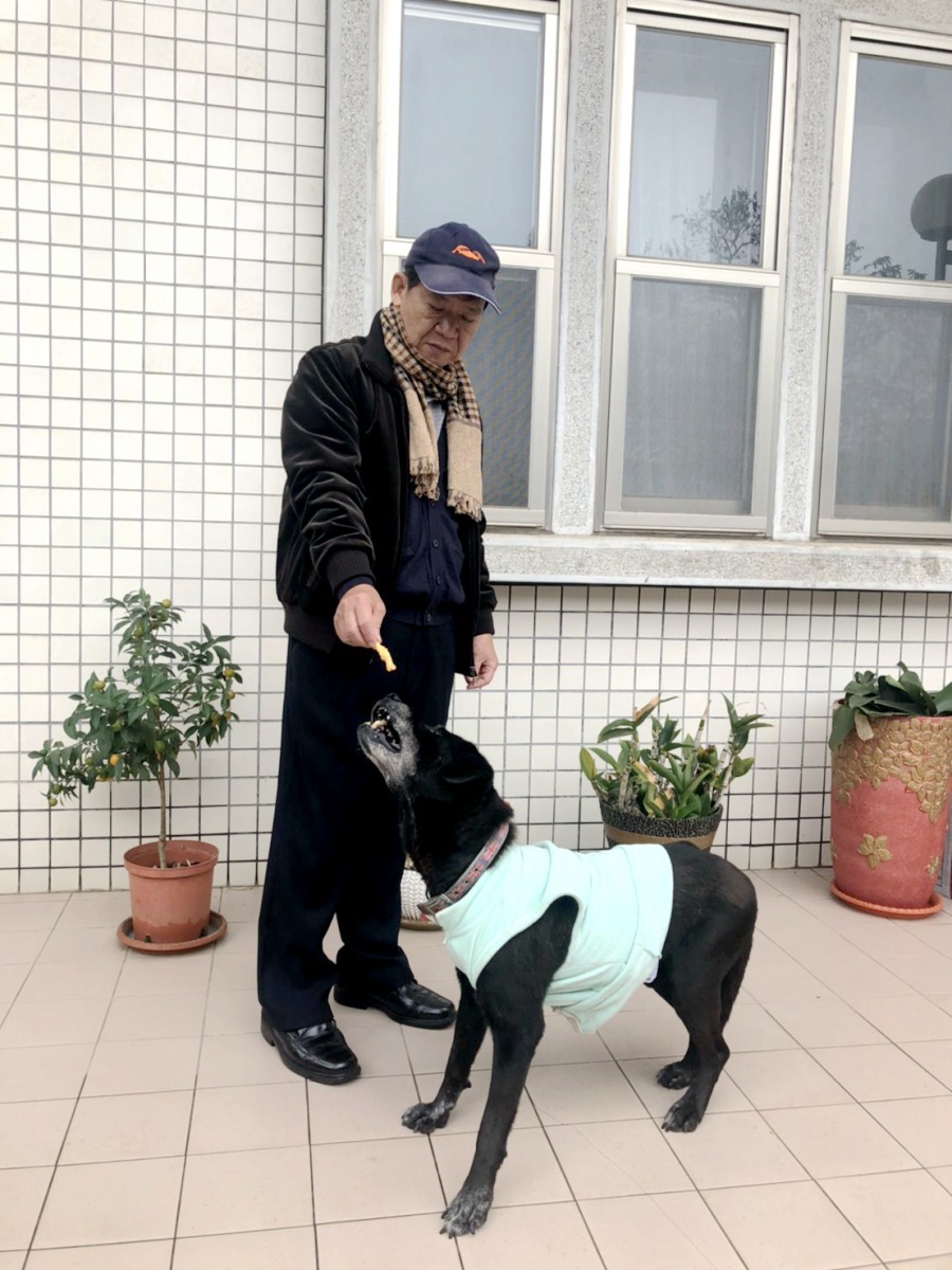楊明風對待老病犬的態度讓人感心。高維奇／攝
