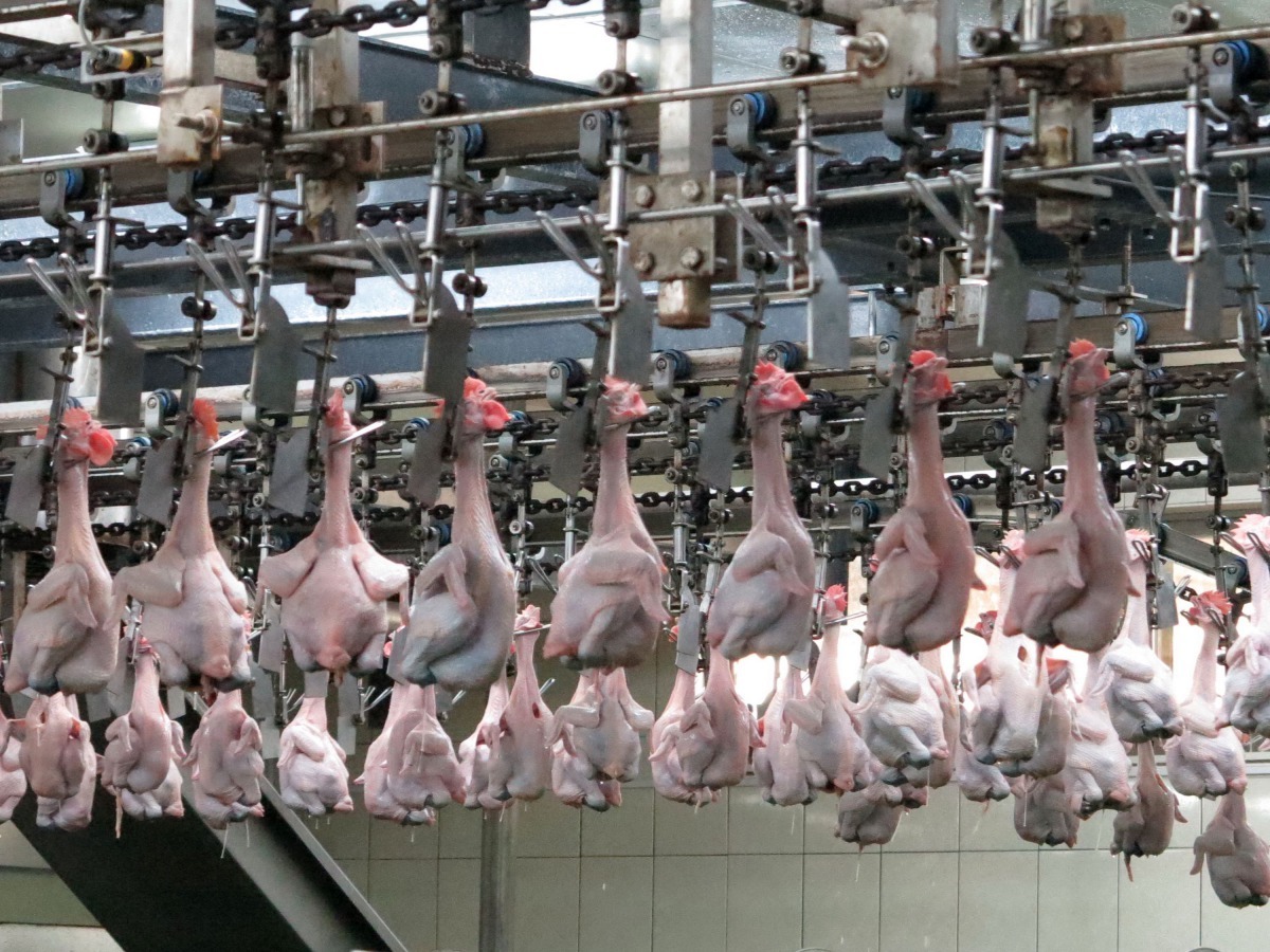 台南市動保處加強肉品抽驗，讓消費者可以放心選購優良畜禽產品。高維奇/攝