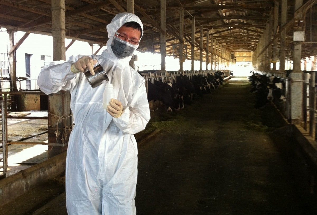 台南市動保處進行乳牛場動物用藥監測。圖/台南市動保處提供