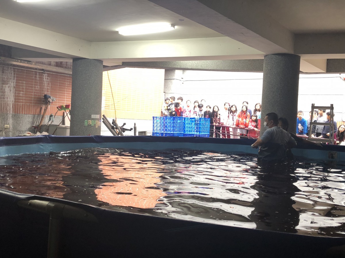 關渡國小以班級為單位分批現場觀察。北市關渡國小/提供