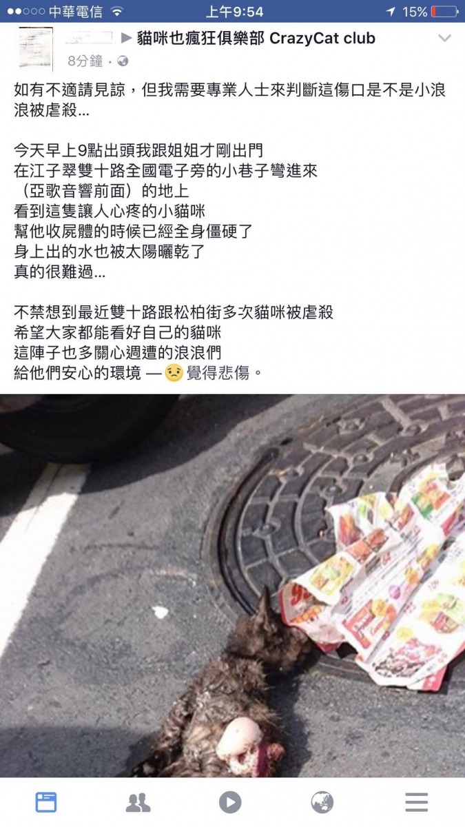 謝姓民眾發現幼貓死狀淒慘，PO網求助。新北市政府動物保護防疫處/提供