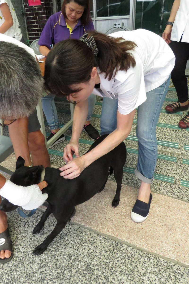 台南市108年第2梯次的巡迴注射工作將安排於5月底開始進行。高維奇／攝