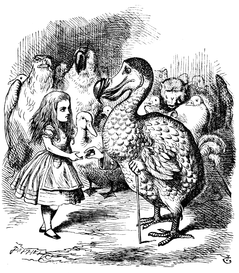 在 1865年出版的《愛麗絲夢遊仙境》中，英國插畫家坦尼爾(John Tenniel)畫下了愛麗絲和嘟嘟鳥相遇的畫面。 Photo: John Tenniel