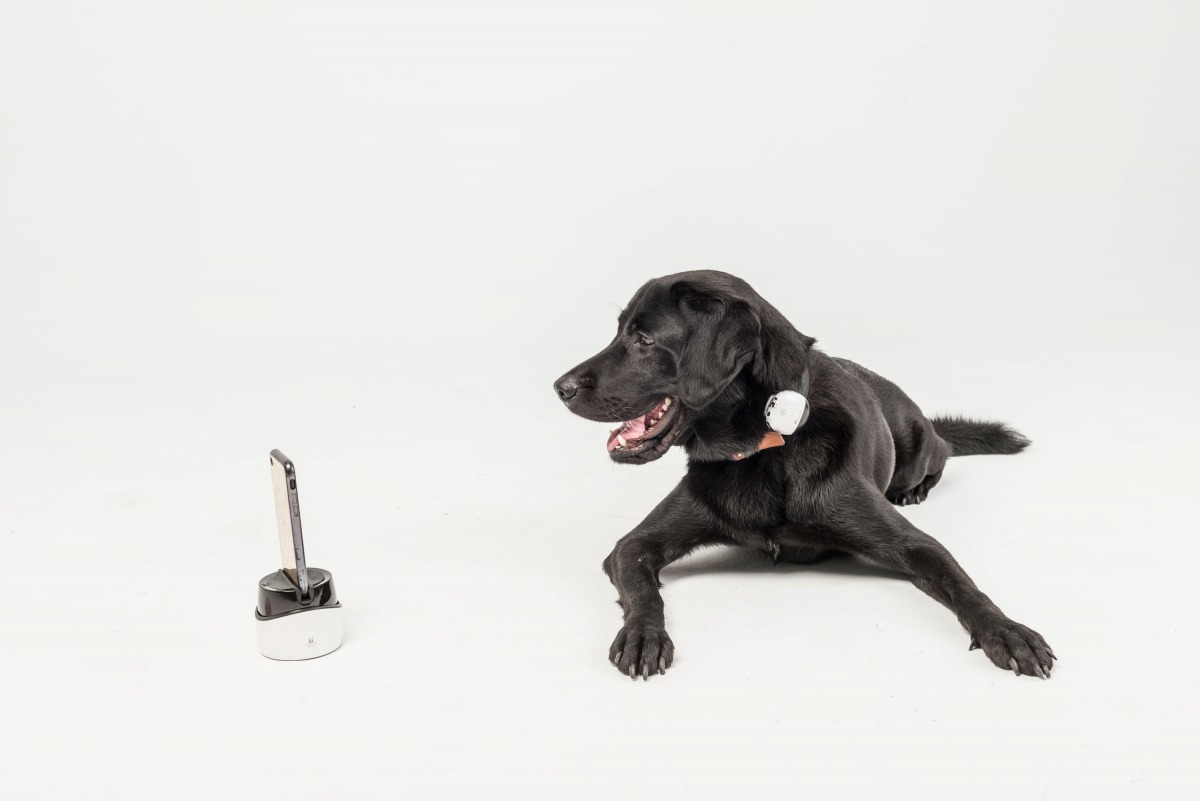 台灣有電子業看準寵物新經濟浪潮，自行研發出「寵物自拍神器」。廠商/提供