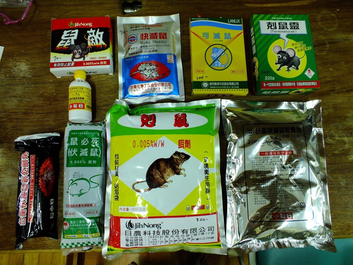 屏科大鳥類生態研究室/提供