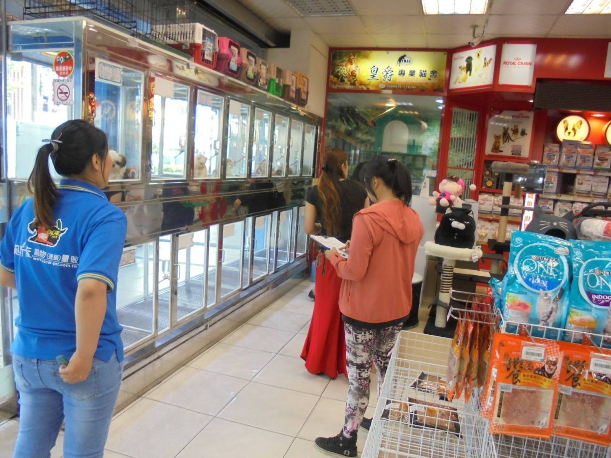 台南市府希望透過評鑑機制，鼓勵業者持續創新及進步。圖／台南市動保處提供