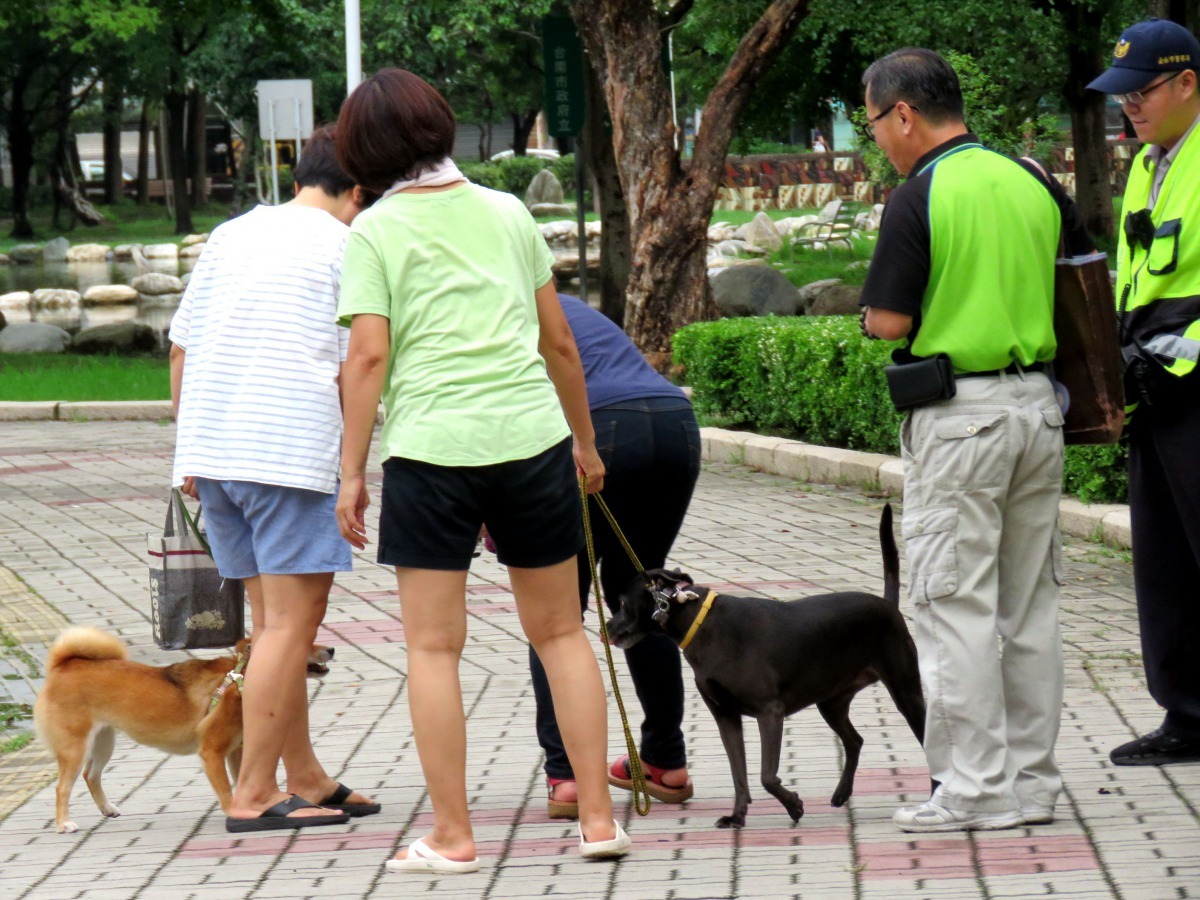 公共場所稽查，加強民眾為寵物辦理登記及絕育等觀念。高維奇／攝
