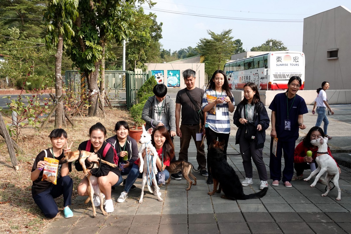 學會了遛狗技巧,志工帶著毛孩散步去。高維奇/攝