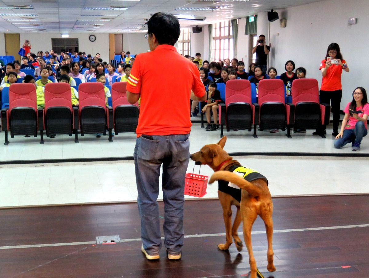 動保宣導是源頭管理重要的業務。高維奇／攝