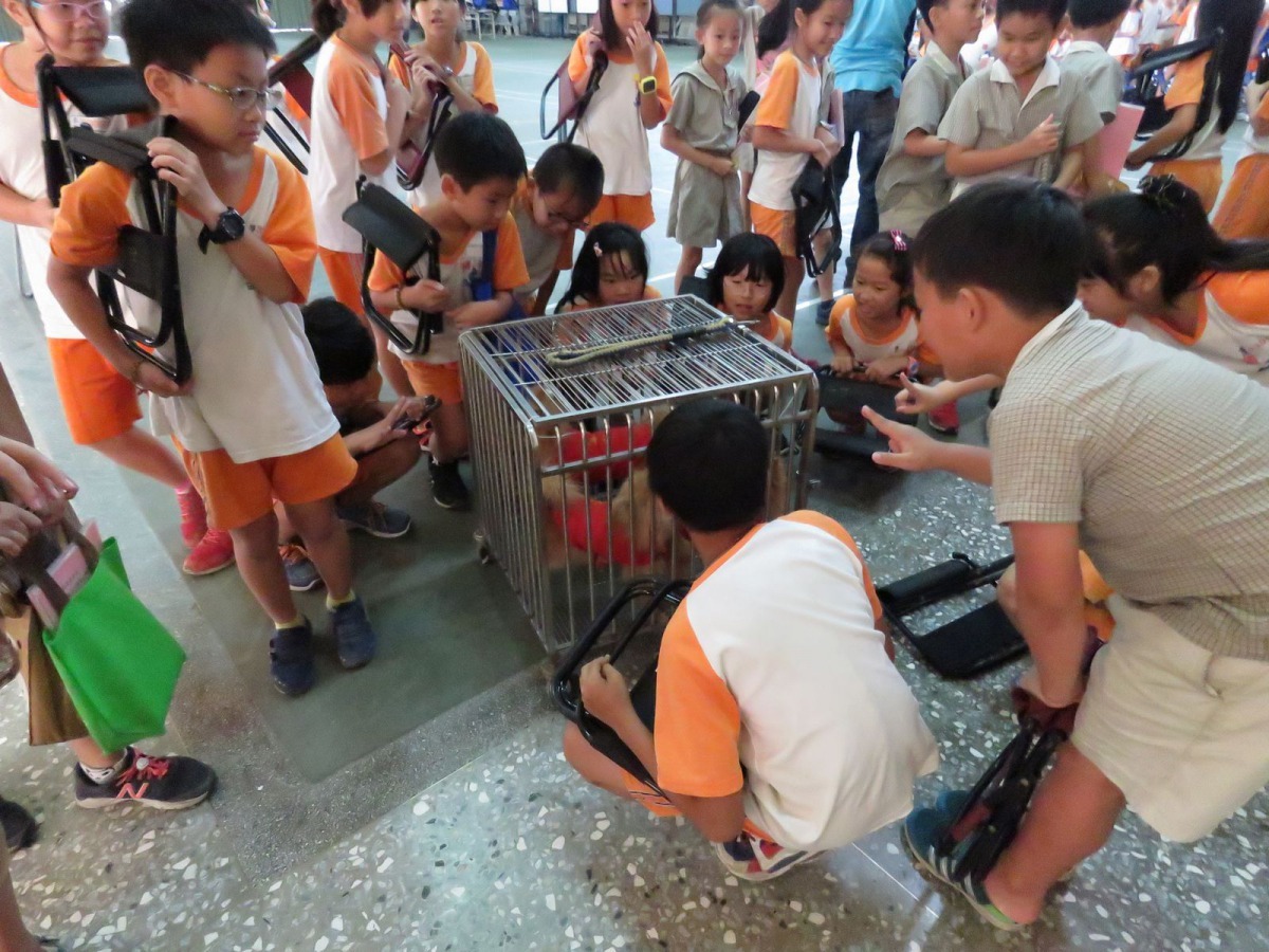 動保校園宣導能讓孩子們從小學習如何與動物和平共處。高維奇/攝