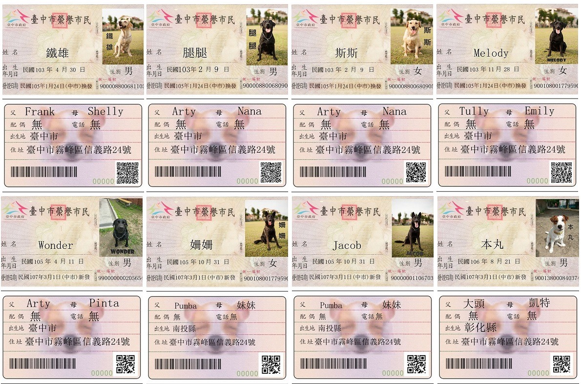 台中市消防局製作了專屬搜救犬的榮譽市民身分證，象徵牠們是台中市民最重要的家人。圖片來源:台中市政府 製圖/雨林