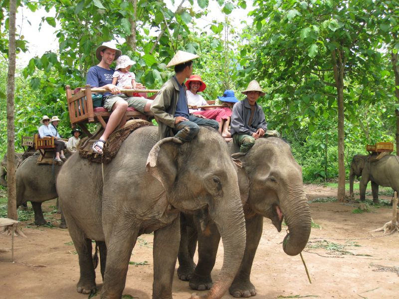 寮國的大象騎乘旅遊行程。圖片來源：kevjblack（CC BY-NC-ND 2.0）
