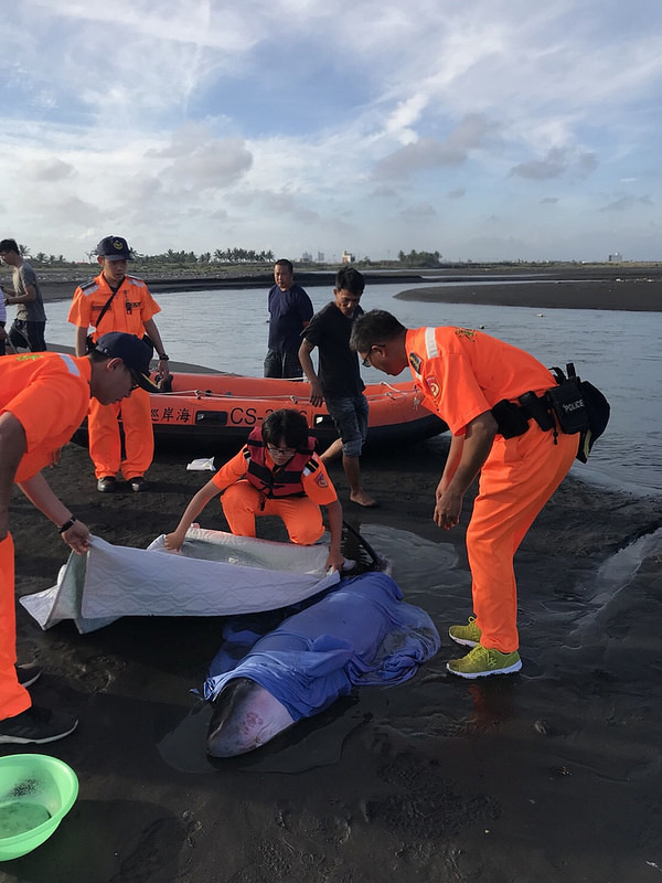 照片提供：海巡署