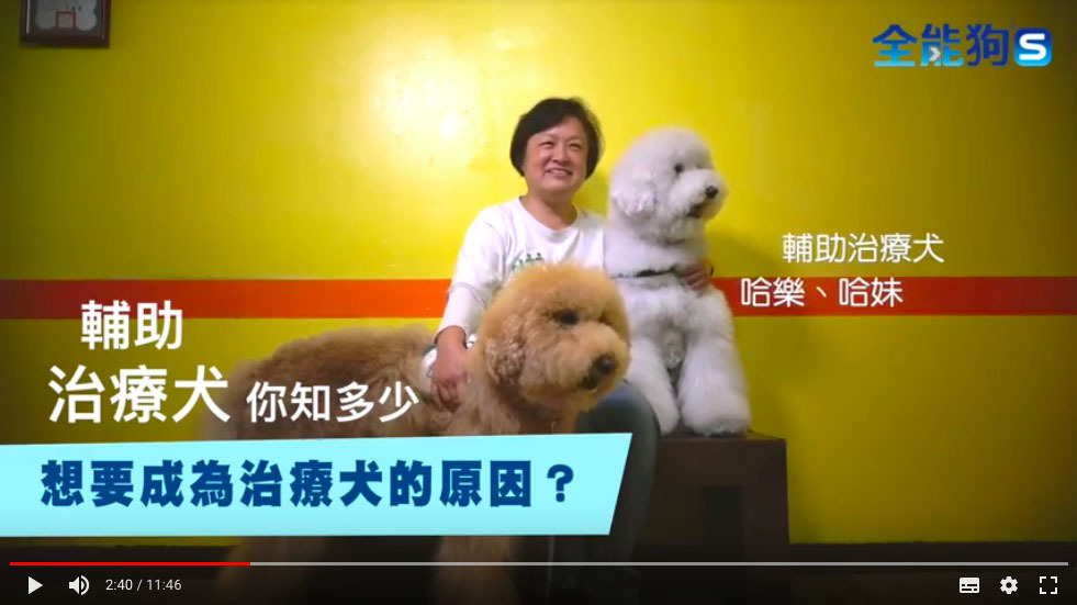 曝光平台：八網聯播。廠商/提供