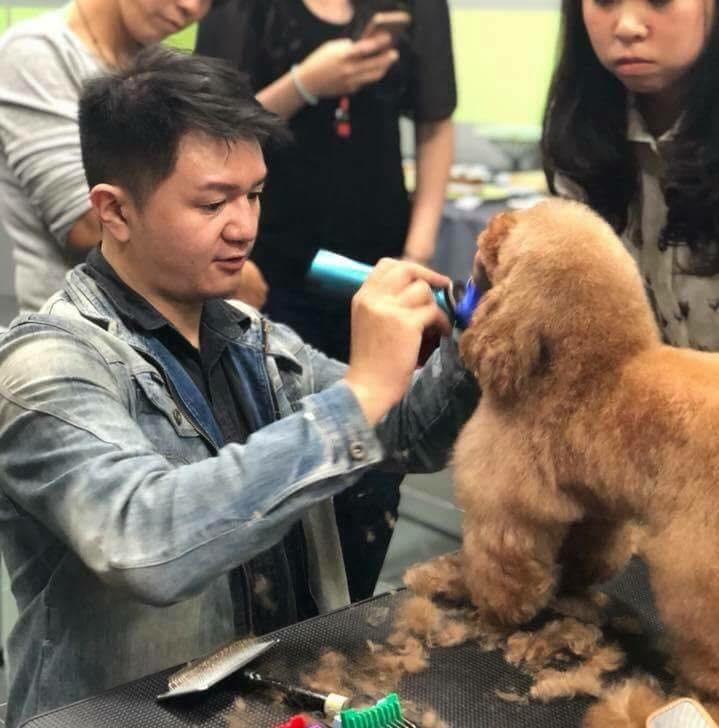 美容師們雙手沒時間停下，夏天落毛季來啦！！！梁憶萍/提供