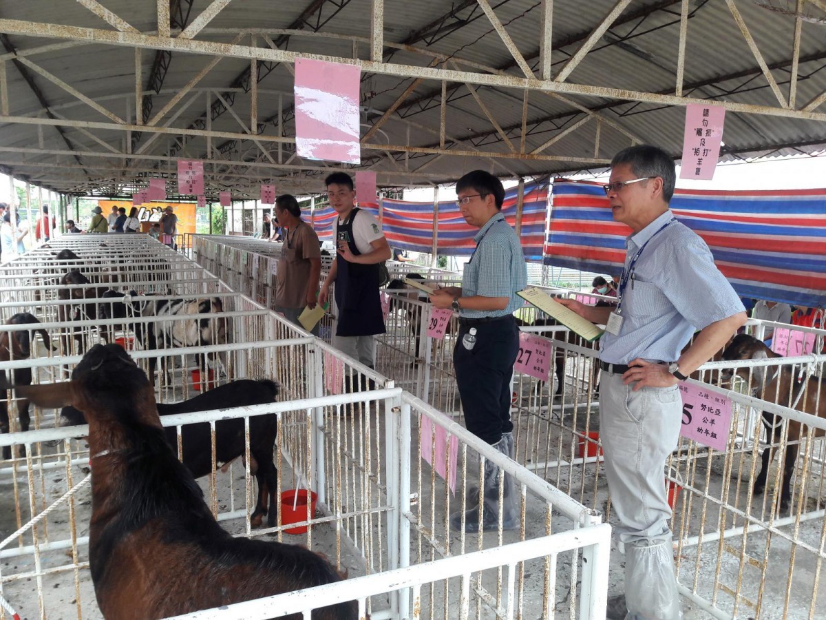 「山羊嘉年華會活動」，提供繁殖用山羊評選及觀摩交流平台。雨林/翻攝