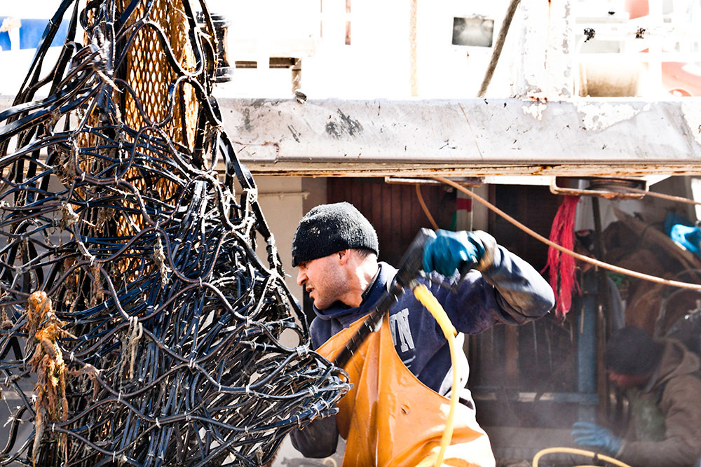 全球魚藏有賴良好的管理。圖片來源:castgen(CC BY-NC-ND 2.0)