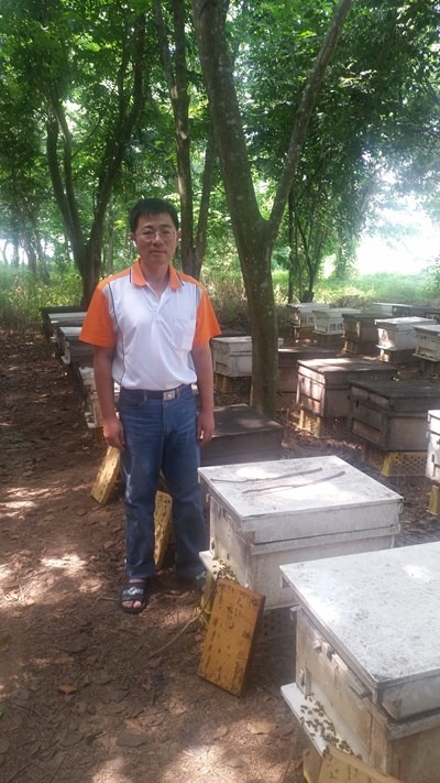 蜂農鄭金崑擁有400個蜂箱，每年跟隨著花開的季節移動蜂箱到台灣各地，過著逐花草而居的生活。台中市政府/提供