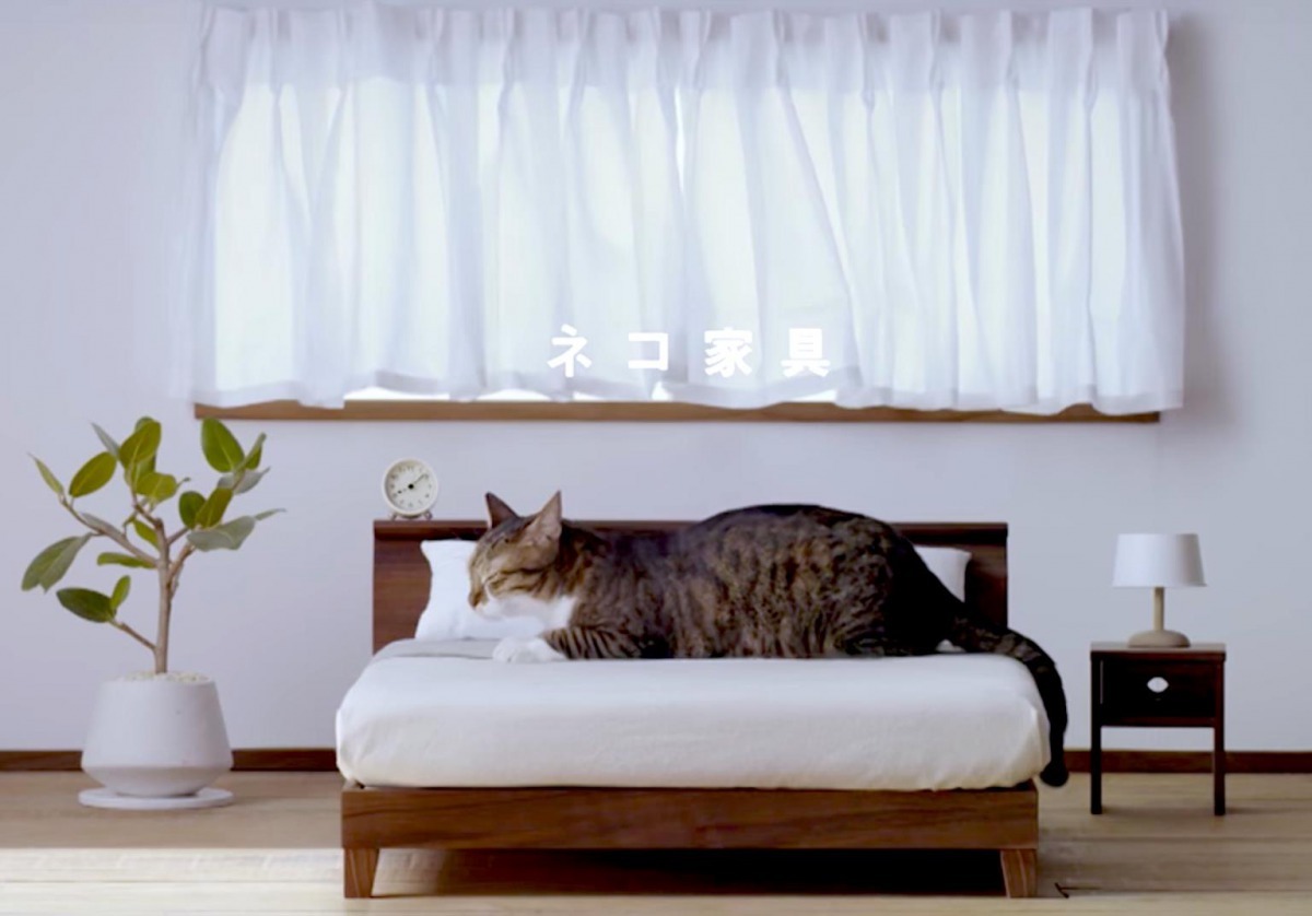 圖為日本家具公司最近推出的貓咪用床，乍看之下就像一隻貓咪誤闖了模型屋。 Photo: 大川市役所