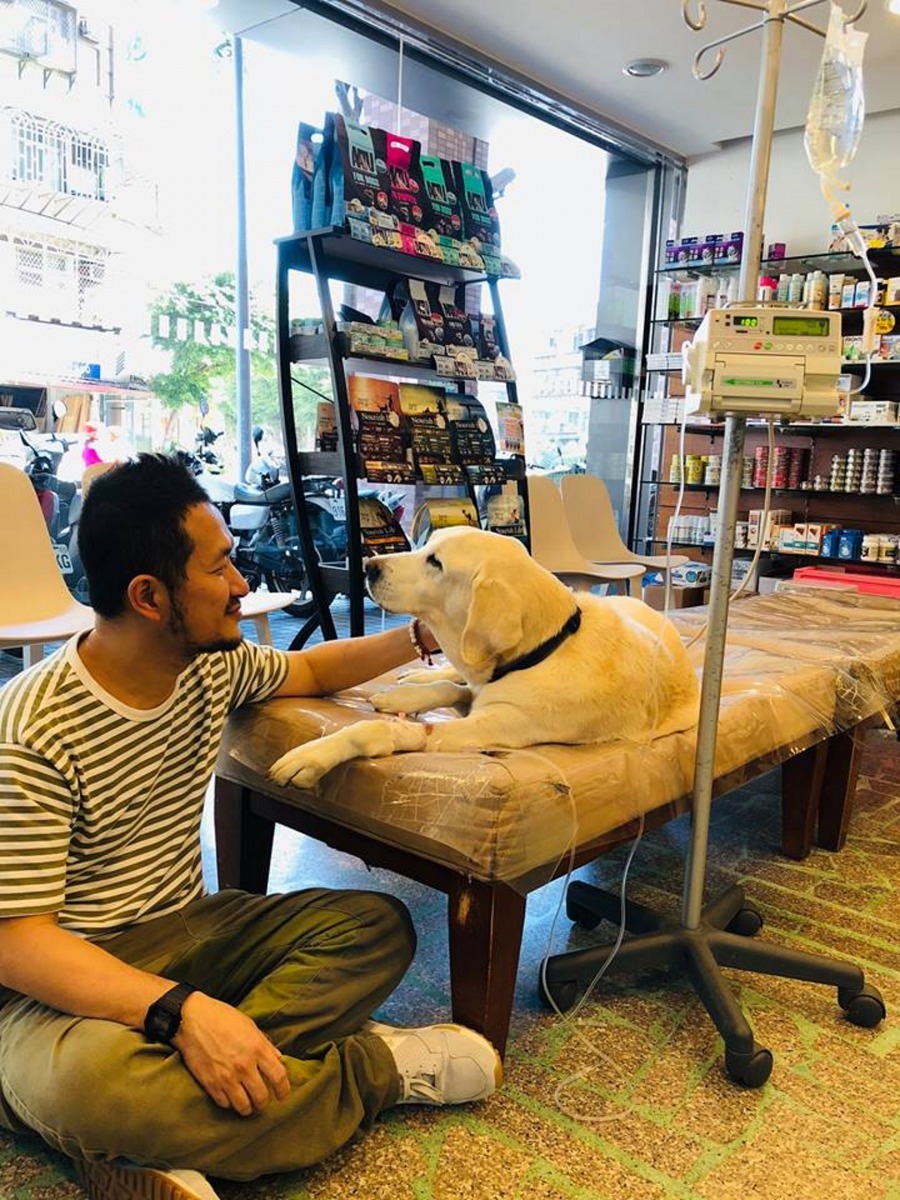 九把刀愛犬「阿魯」日前病重送院。(Facebook:九把刀)