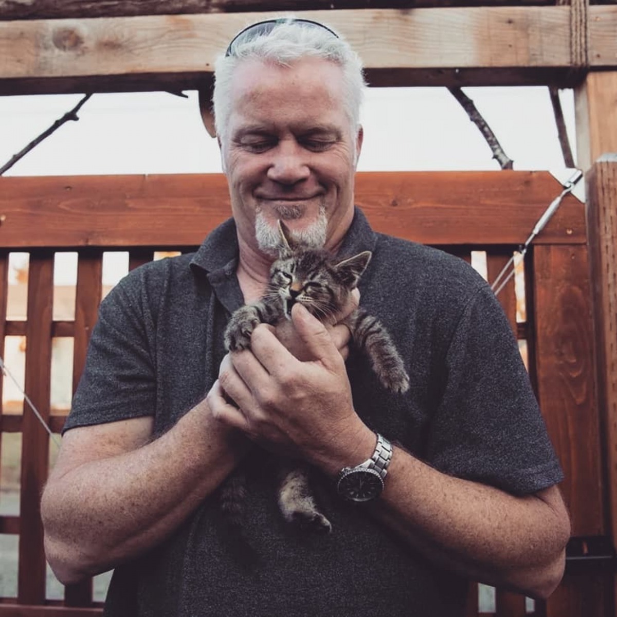 Chuck Hawley日前在公路上遇到一隻被虐待的小貓。(Facebook@Chuck Hawley)