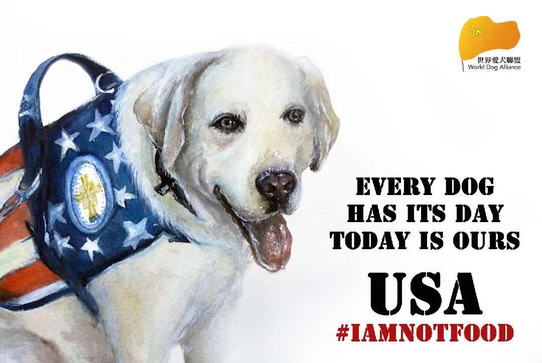 美國立法禁食狗肉之後,世界愛犬聯盟還將在美國廣為宣告這個好消息。 WDA/提供