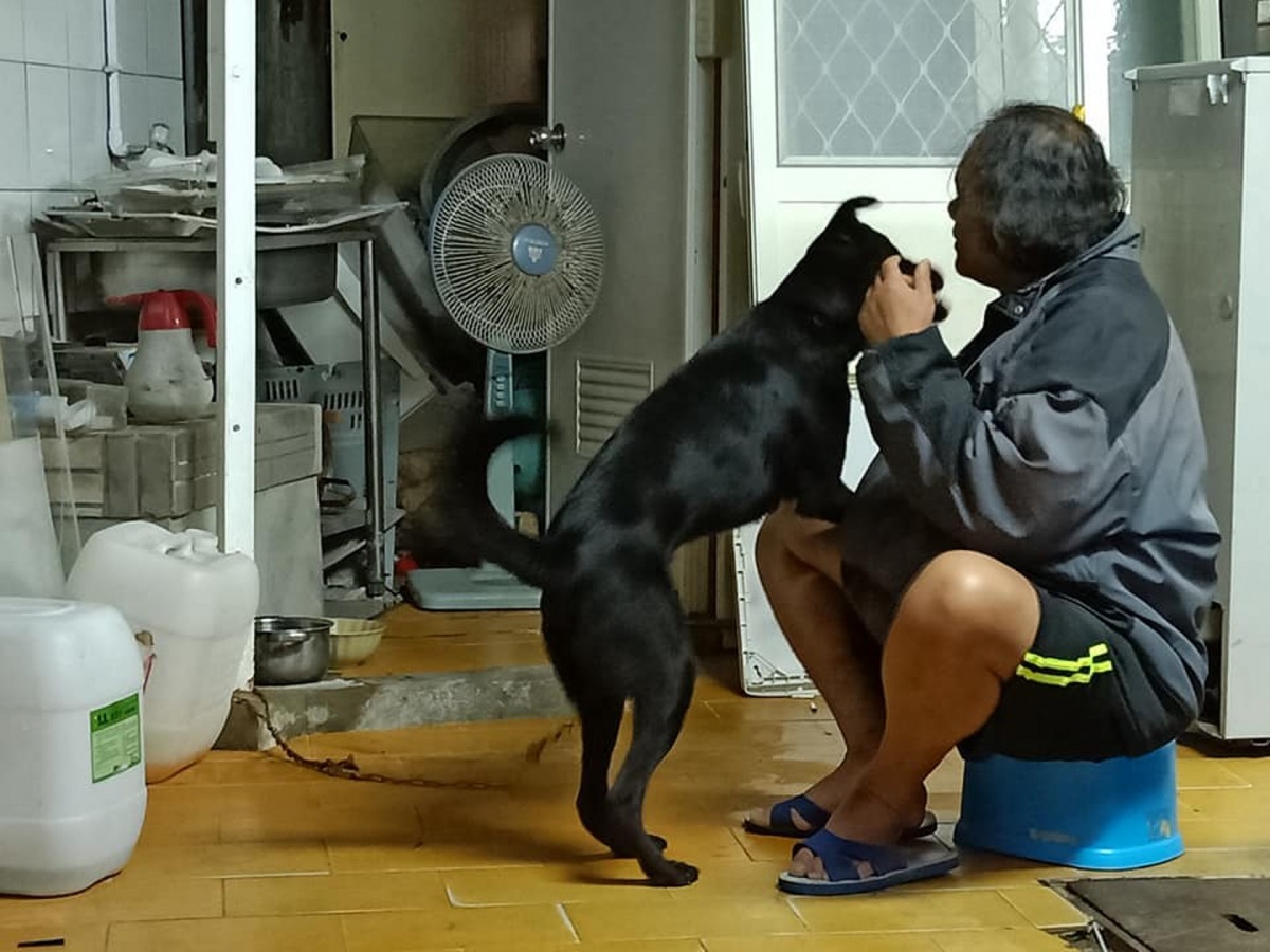 狗主人與黑皮感情非常好。(Facebook圖片:高泰泰)