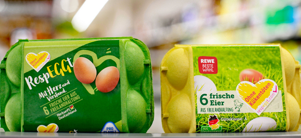全球第一批「零殺戮」雞蛋近日在柏林上市。圖片來源:SELEGGT。