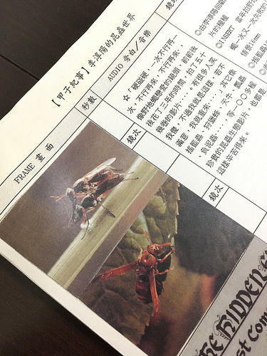 與昆蟲大師李淳陽合作的拍攝計劃書。潘佳修攝。