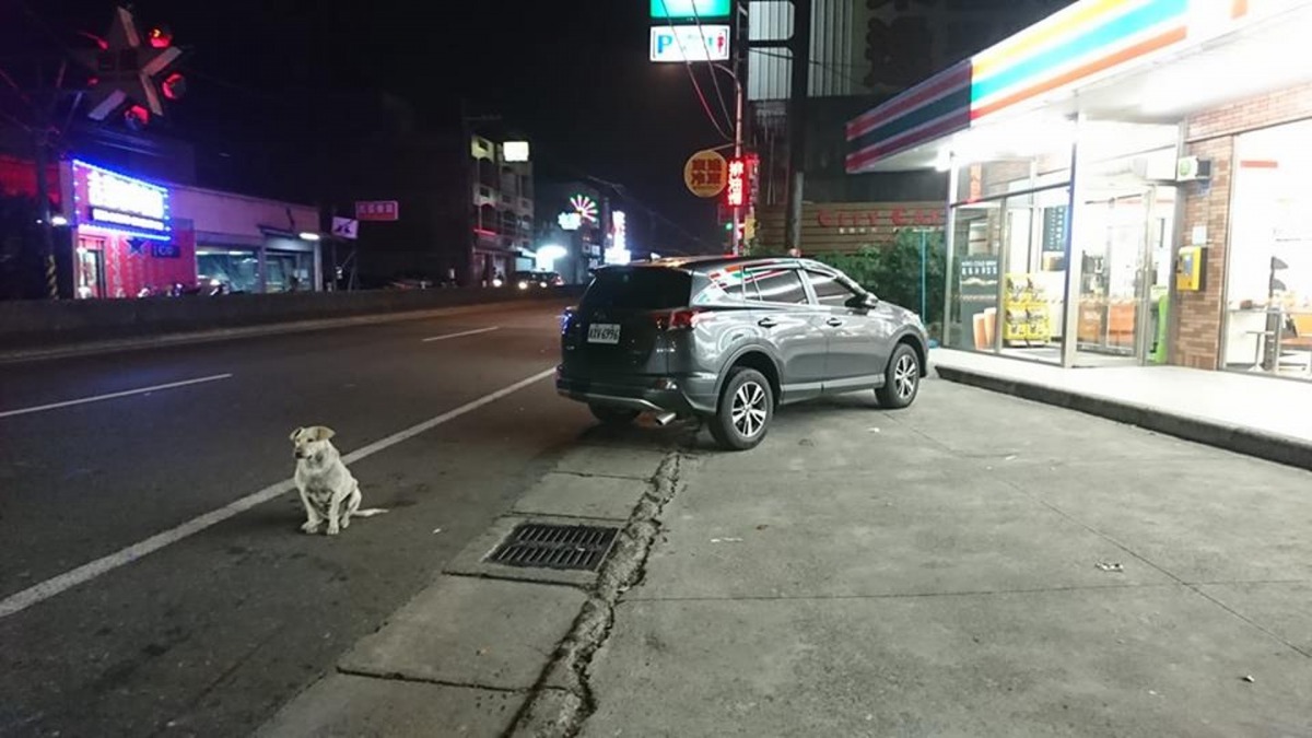 看到牠寂寞的眼神，就令人感到心傷。（Facebook圖片：芎林是我家）