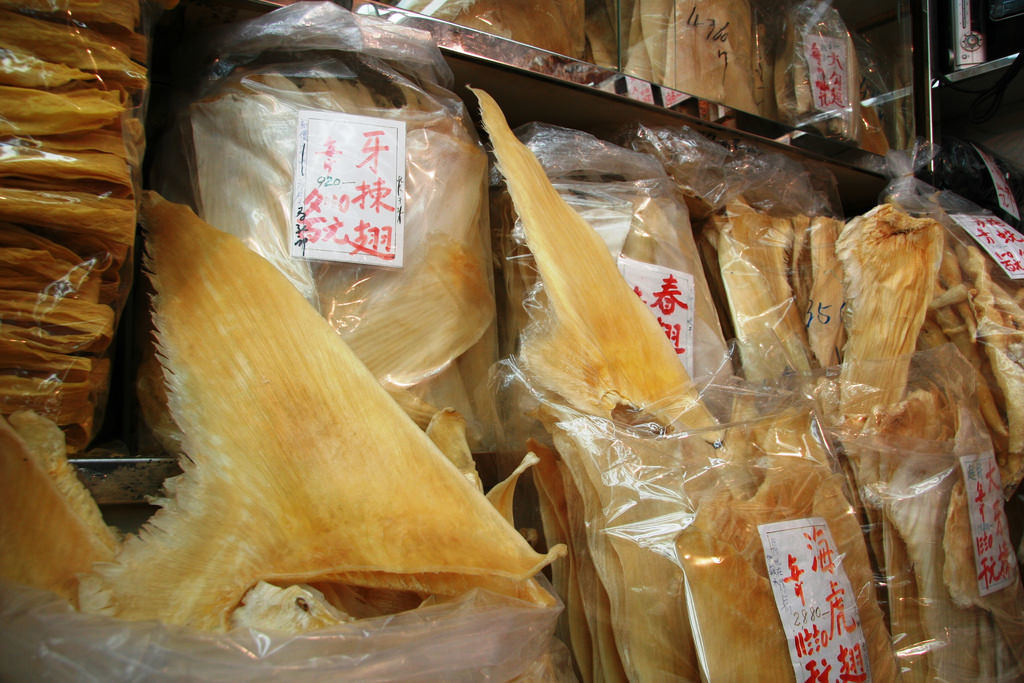 消費者有機會在不知情下購買及食用這些「魚翅」。圖片來源：BLOOM香港。