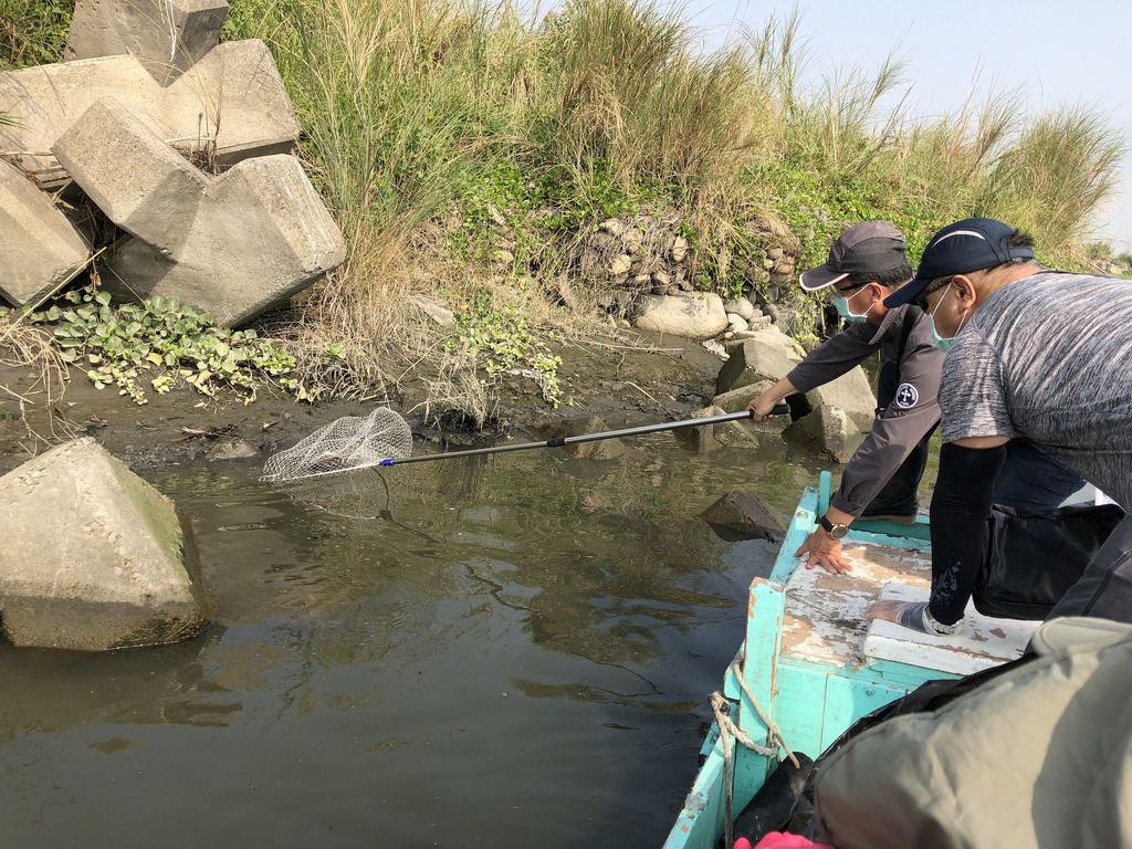高屏溪再傳過境水鳥集體中毒,經鳥友通報,數個公、民團體一起巡守救治傷鳥。高雄市政府提供