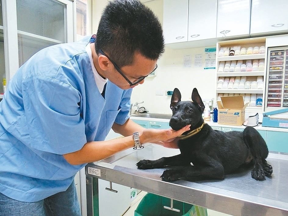 北市府表示，動保處內所有人道處理都需由該動物舍負責之動物管理員、獸醫師及主管3者同意後才能執行。台灣動物新聞網資料畫面 台北市動保處/提供